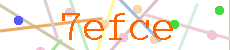 Verificador