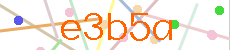Verificador