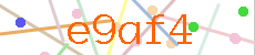 Verificador