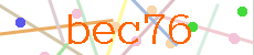 Verificador