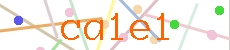 Verificador