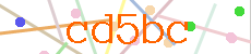 Verificador