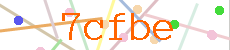 Verificador