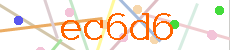 Verificador
