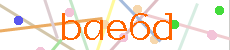 Verificador