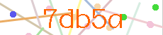 Verificador