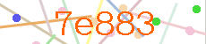 Verificador