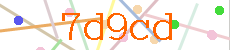 Verificador