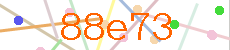 Verificador