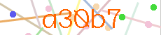 Verificador