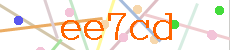 Verificador