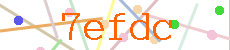 Verificador