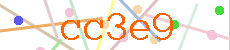 Verificador