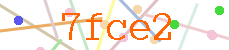 Verificador