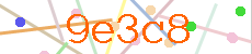 Verificador