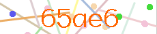 Verificador