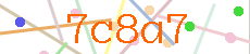 Verificador