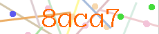 Verificador