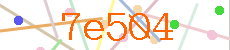 Verificador