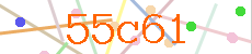 Verificador