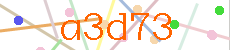 Verificador
