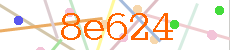 Verificador