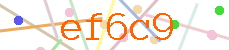 Verificador