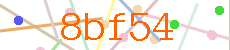 Verificador