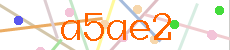 Verificador
