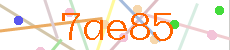 Verificador