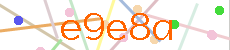 Verificador