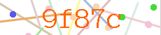 Verificador
