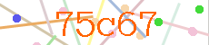 Verificador