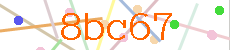 Verificador