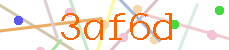 Verificador
