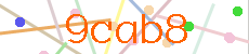 Verificador
