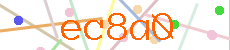 Verificador