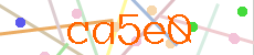 Verificador