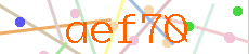 Verificador