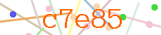 Verificador