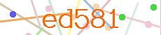 Verificador