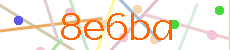 Verificador