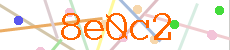 Verificador