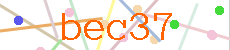 Verificador