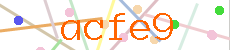 Verificador