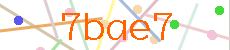 Verificador