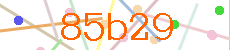 Verificador
