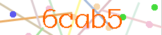 Verificador