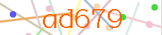Verificador