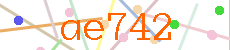 Verificador